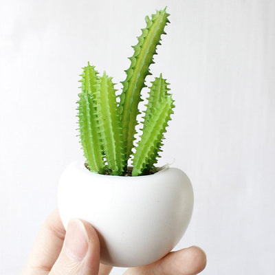 Cute Plant Fridge Magnets