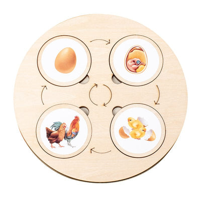 Children's Life Circle Learning Toy