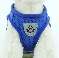 Dog Harness And Leash Set