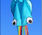 3D Octopus Kite