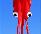 3D Octopus Kite