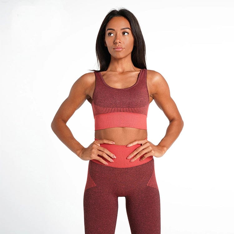 Seamless Fitness Set