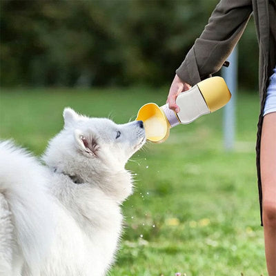 Leak Proof Pet Drink Bottle