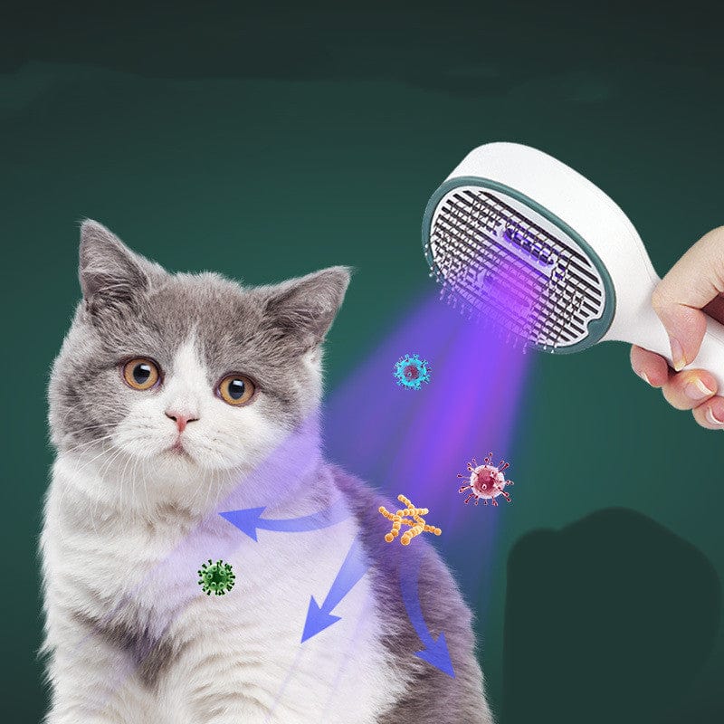 Cat Sterilisation Brush