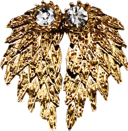 Angel Wings Women Earrings